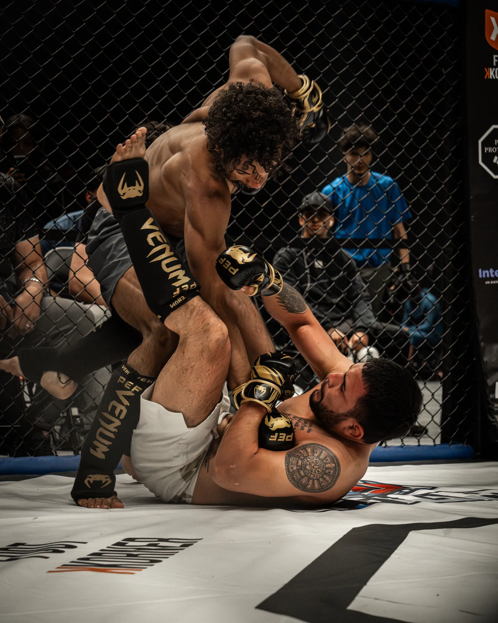 PEF MMA
