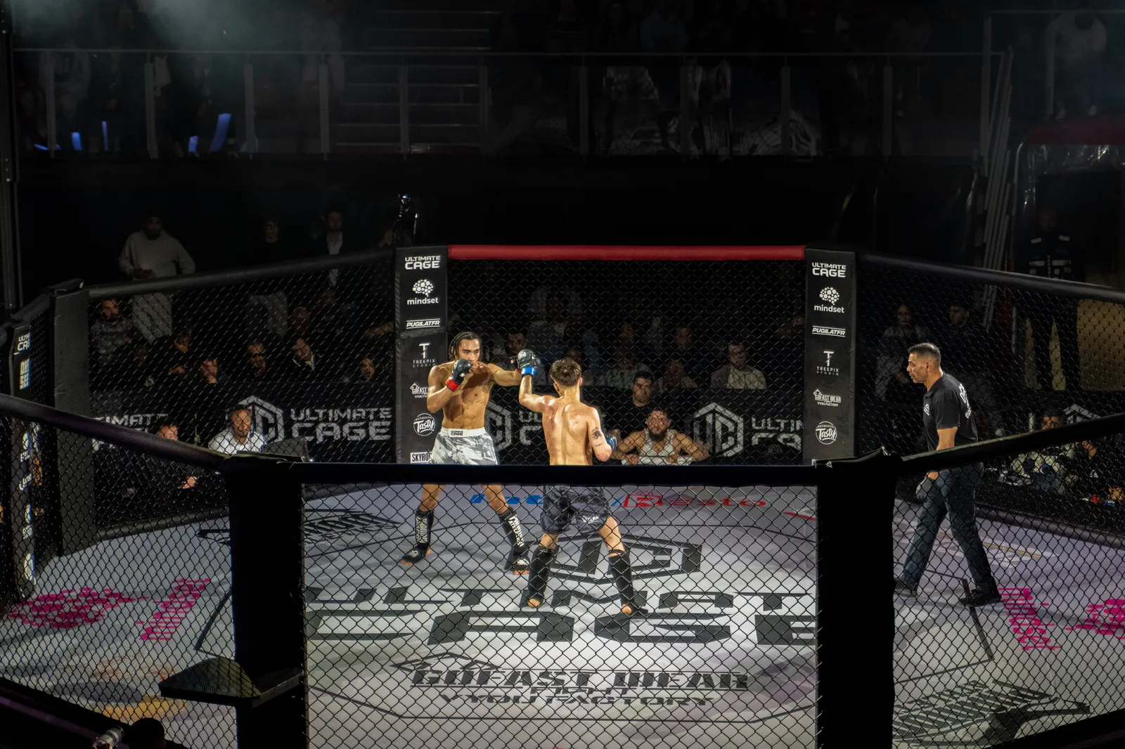 Ultimate Cage MMA